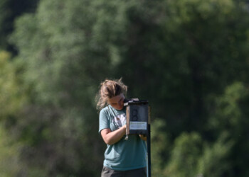 Lead Bander Molly Cable checks a nesting box.