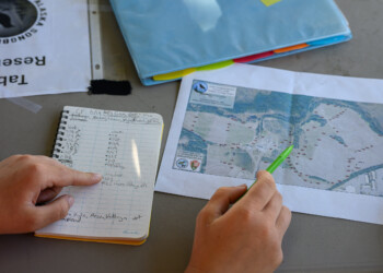 Our Tree Swallow Project Team plans out a strategy for the day ahead.
