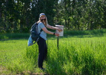 Shelby Morgan, education director for ASI, waits for assistance after successfully trapping two adult tree swallows.