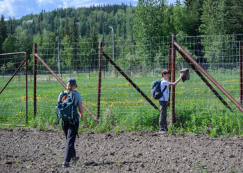 Our Tree Swallow Project Team monitors nest boxes at the University of Alaska Fairbanks.