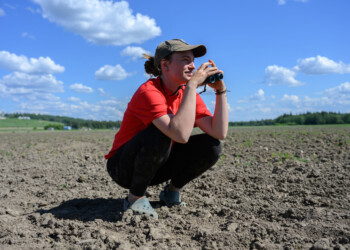Lead Bander Molly Cable waits for an adult tree swallow to return to a nesting box, in an attempt to capture and band the bird.