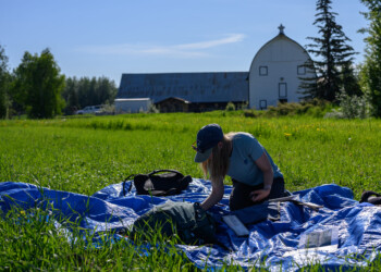 Our Tree Swallow Project Team sets up a tarp station for data collection.