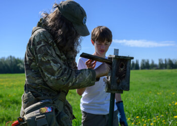 High school interns set a trap to catch the elusive adult male tree swallow at a nesting box.