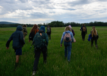 Our Tree Swallow Project Team heads out on an early buggy morning to monitor nest boxes.