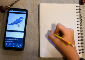 A high school intern sketches a picture of a tree swallow in their field notebook. This design would later be transferred to a wood engraving project.
