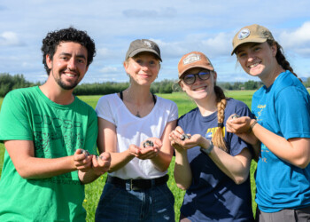 Key members of our 2026 Tree Swallow Project Team pose with nestlings in their hands.