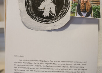 Kathryn Ames writes about her piece on nest building.